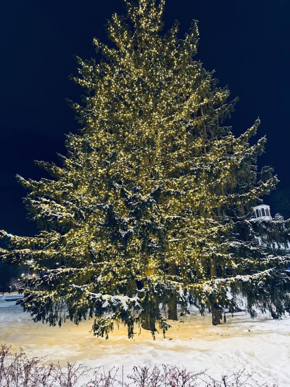 Таинственная зима