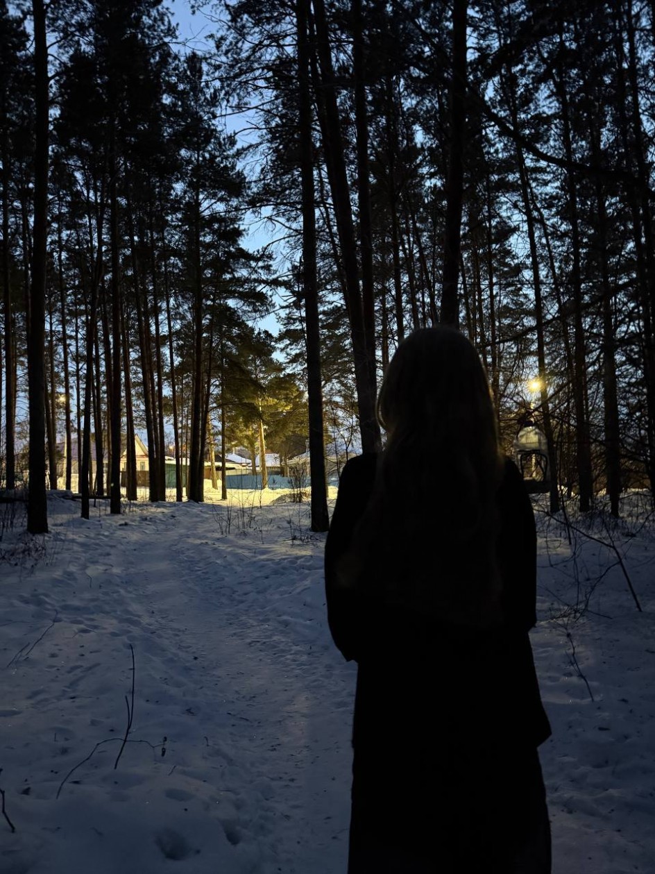 Зимние тайны