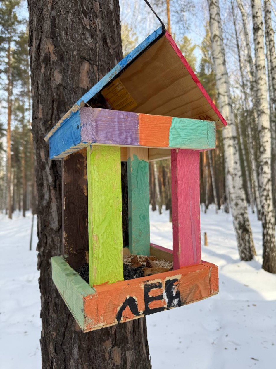 Покормите птиц зимой