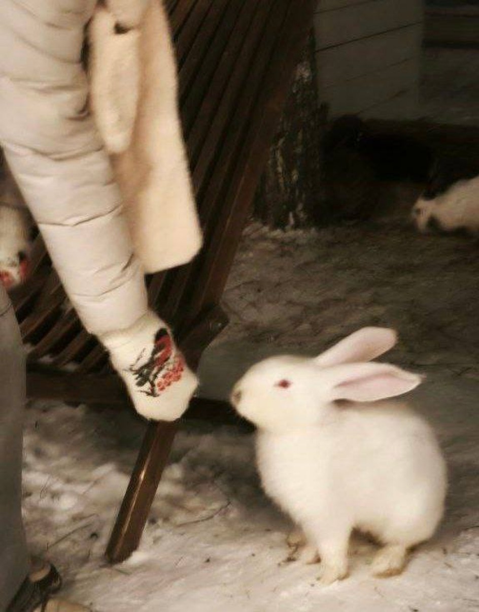 Зимние жители