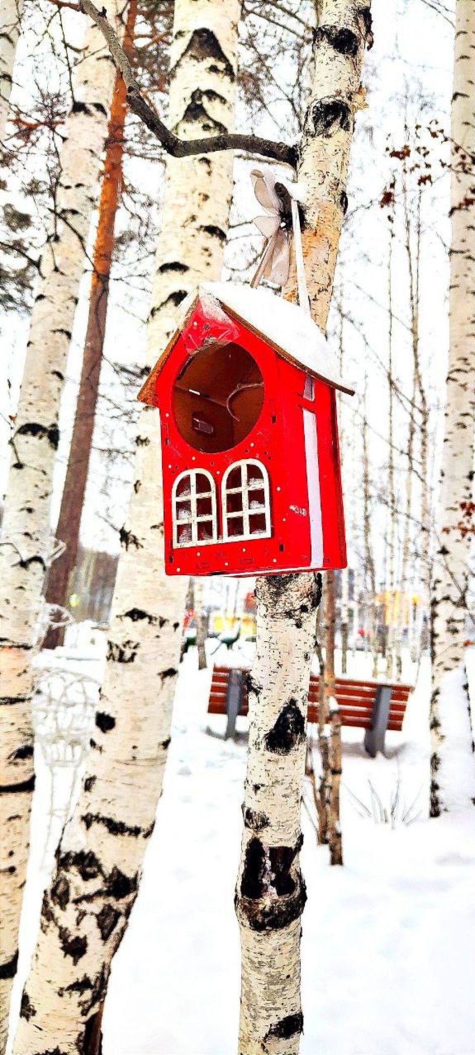 Покормите птиц зимой