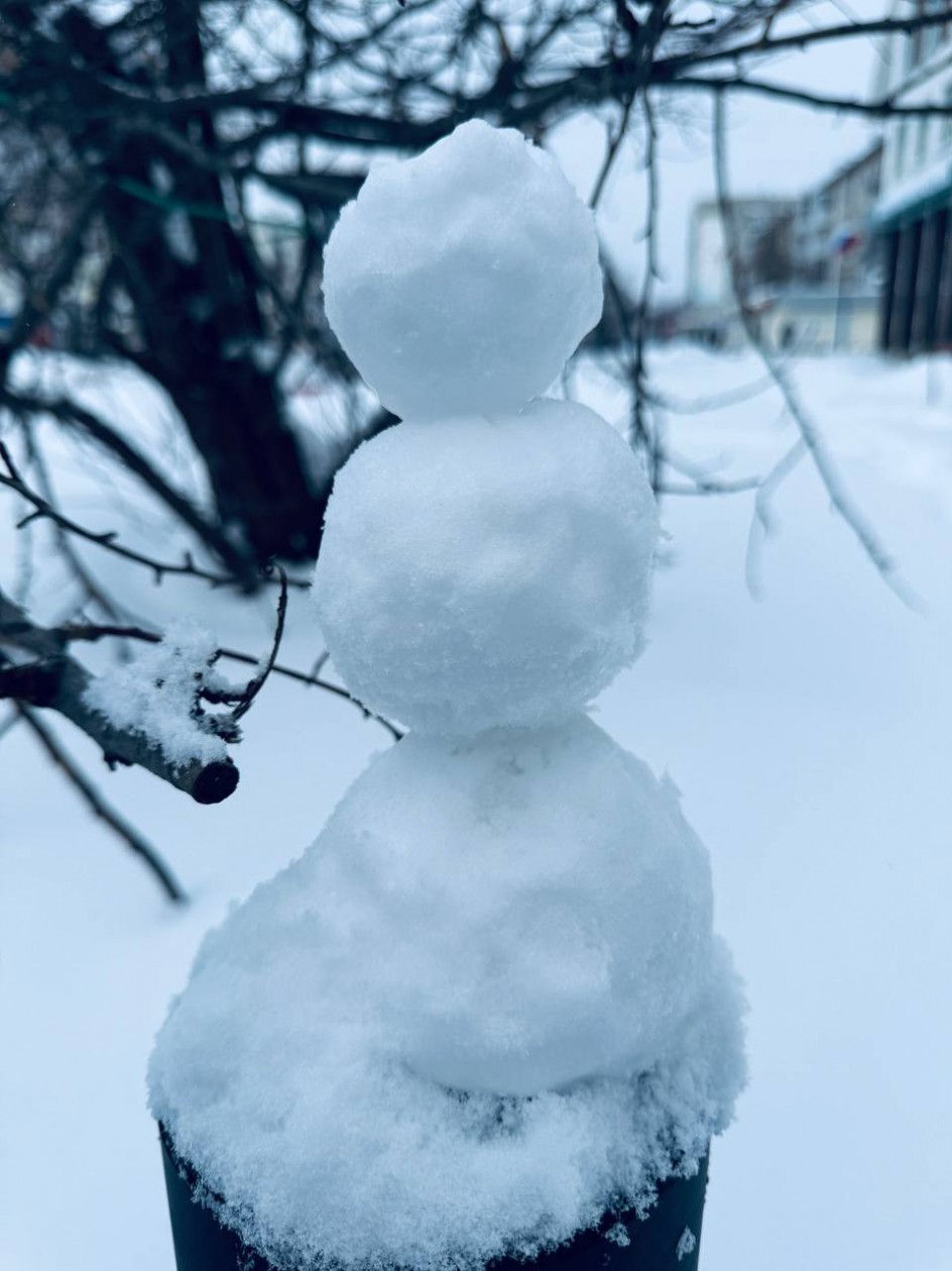 Мой друг снеговик