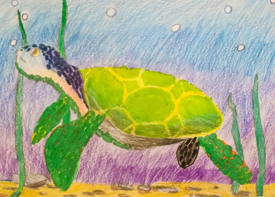 Морская черепаха