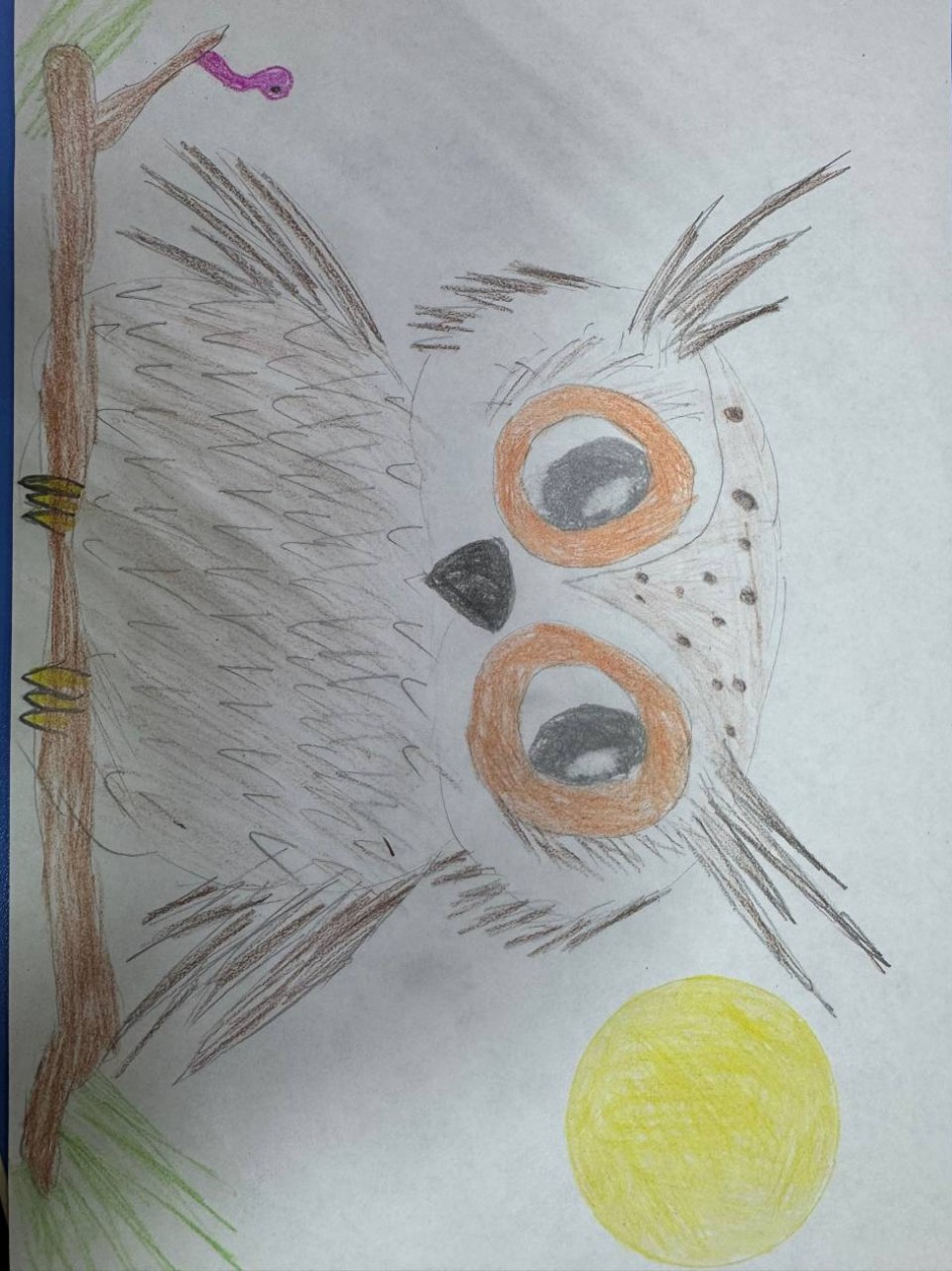 Уроки тетушки совы