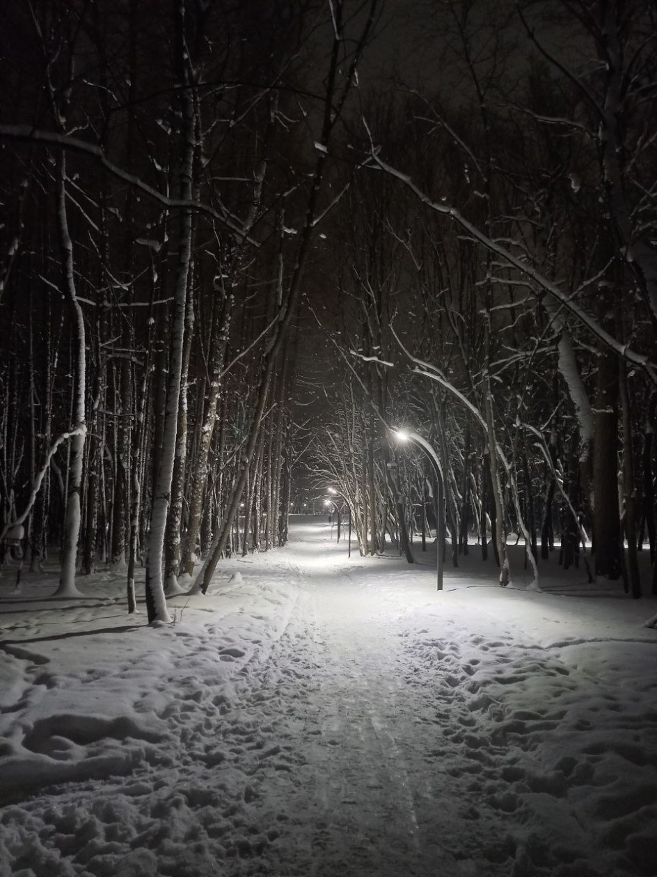 "Зимняя дорога"