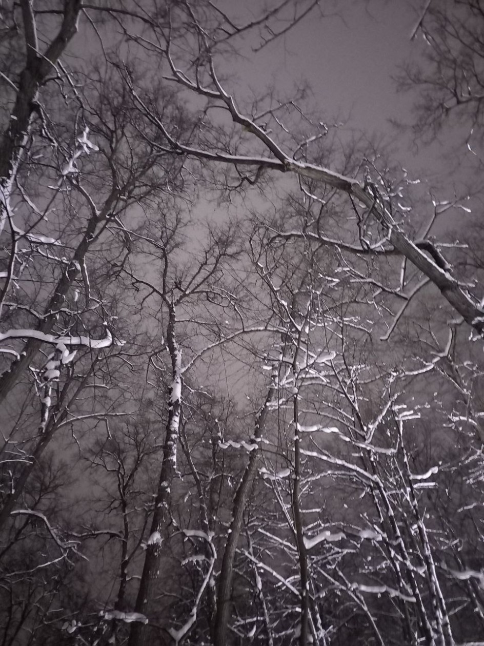 "Серая зима"