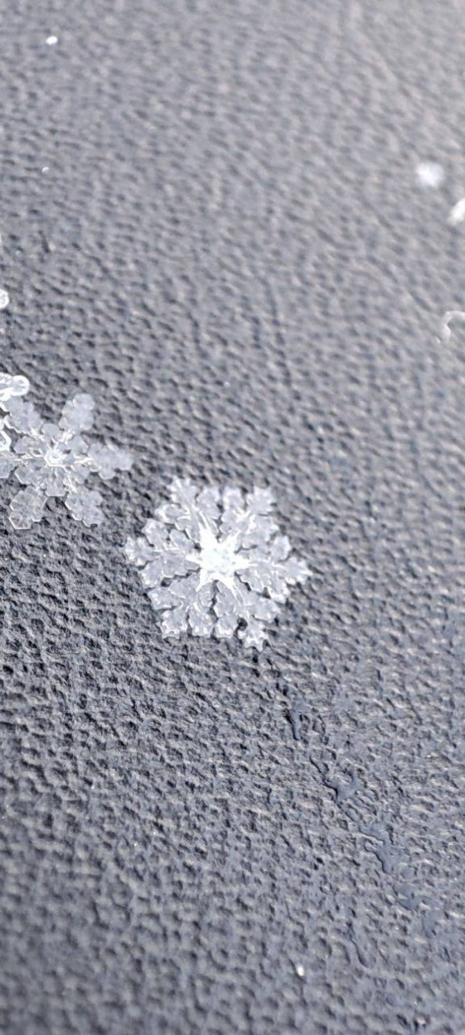 Вальс снежинок в макро-съемке