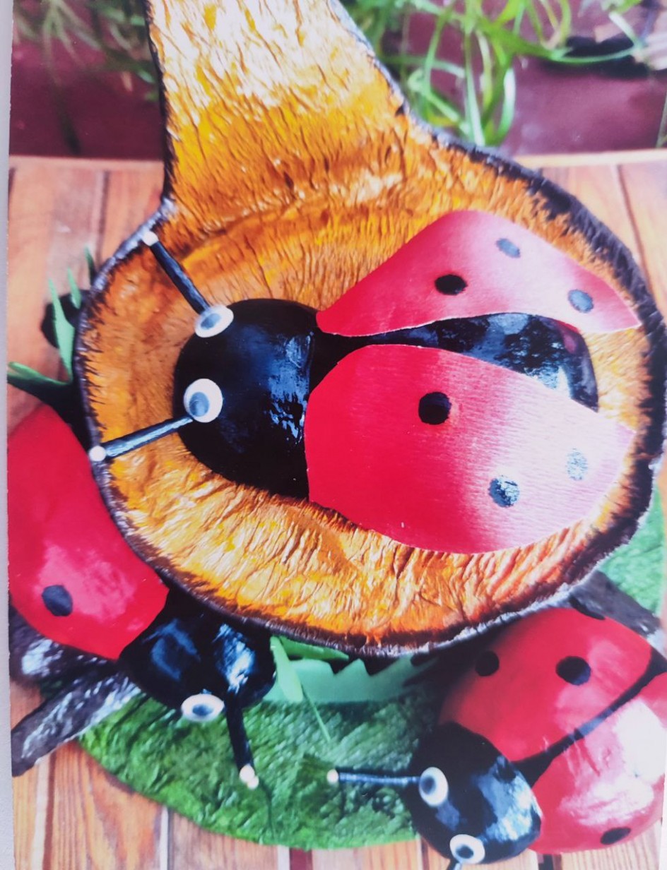 Божьи коровки