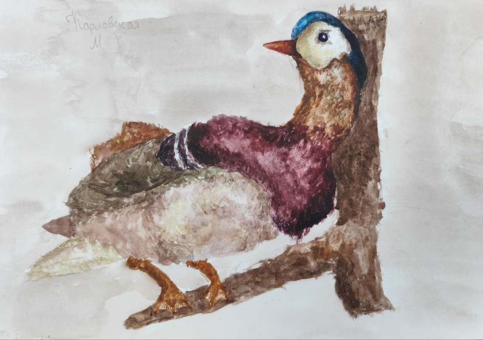 Утка-мандаринка