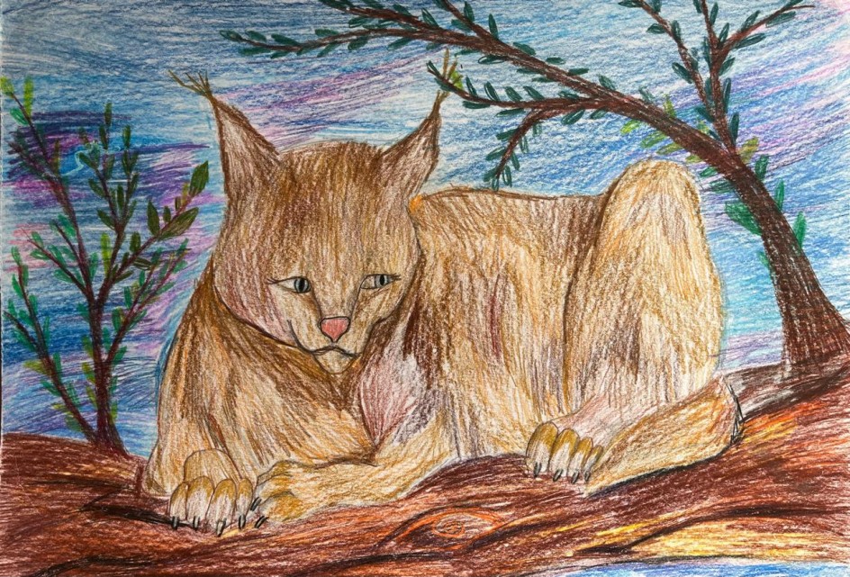 Большая кошка