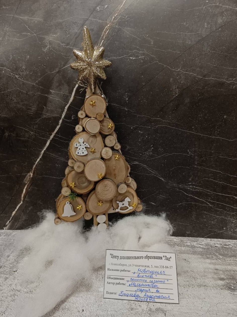 Новогодняя красавица