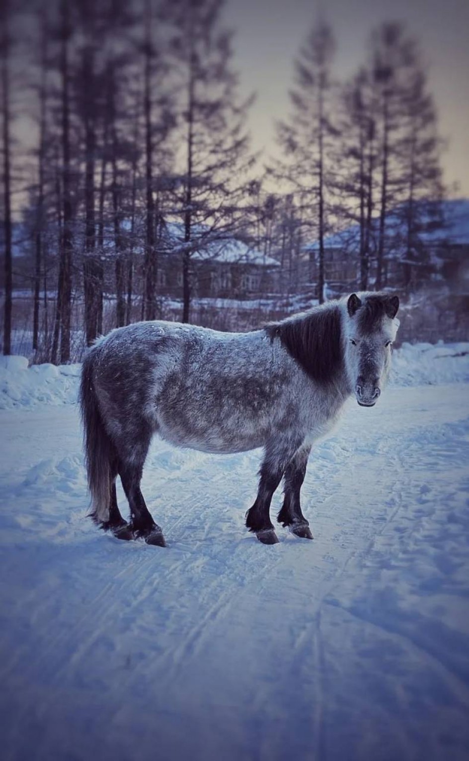 В ожидании весны