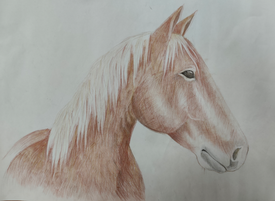 Лошадь - символ 2026 года