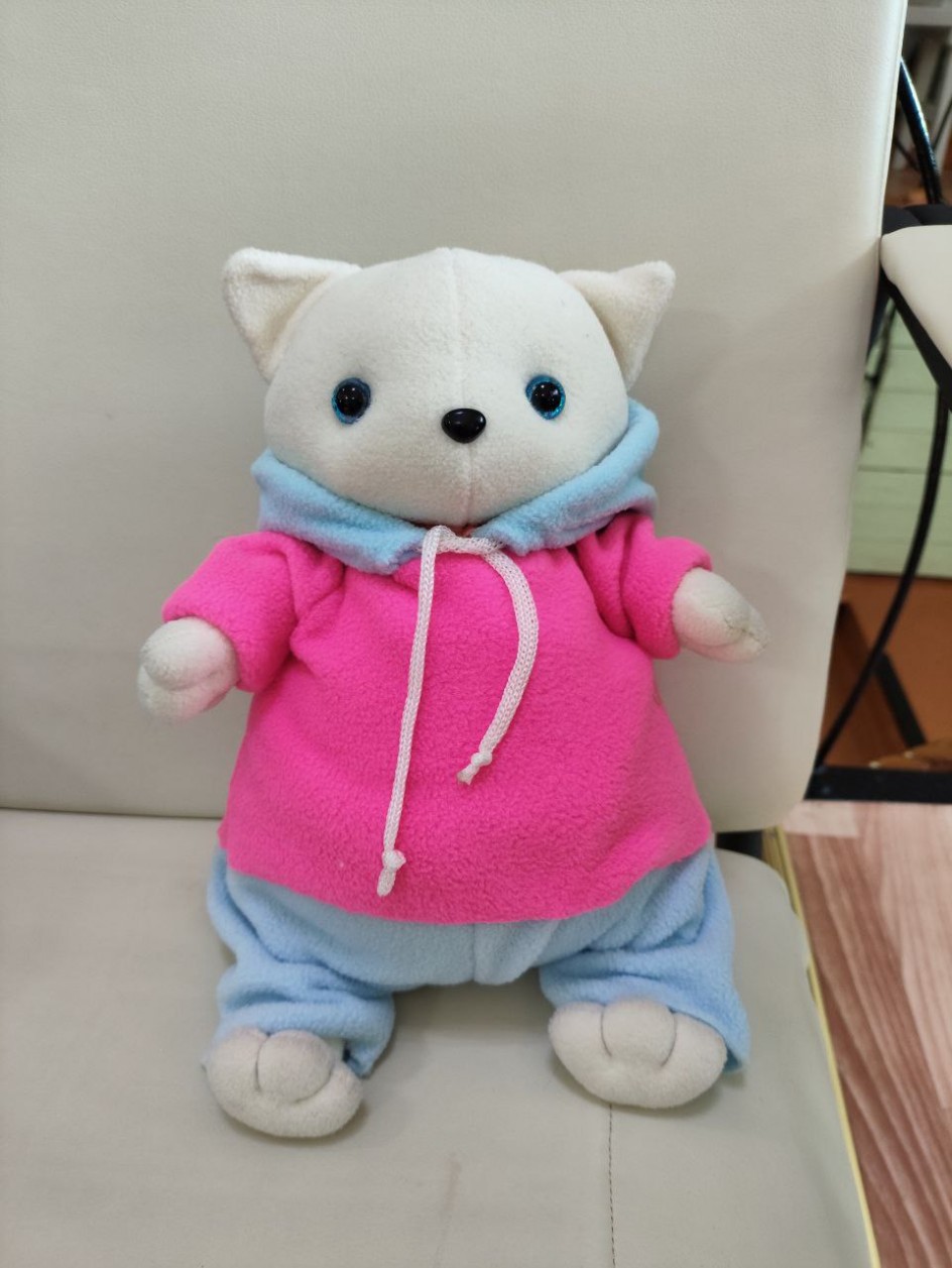 Кошечка Лили