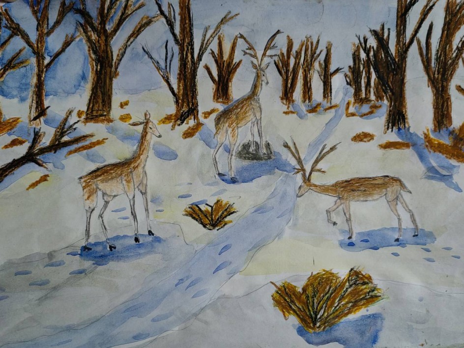 Утро в лесу