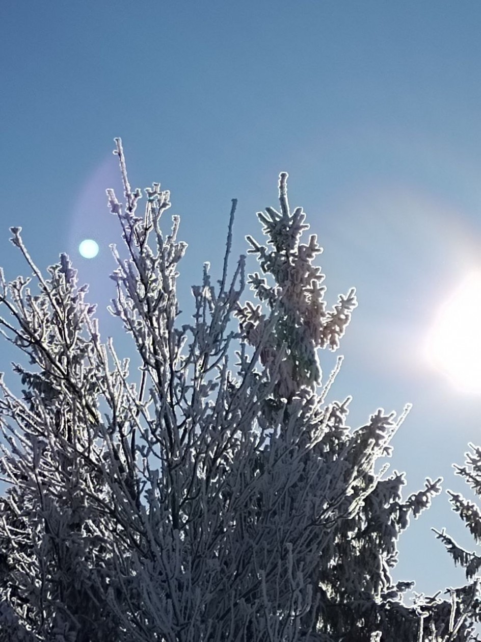 "Солнечный зайчик"