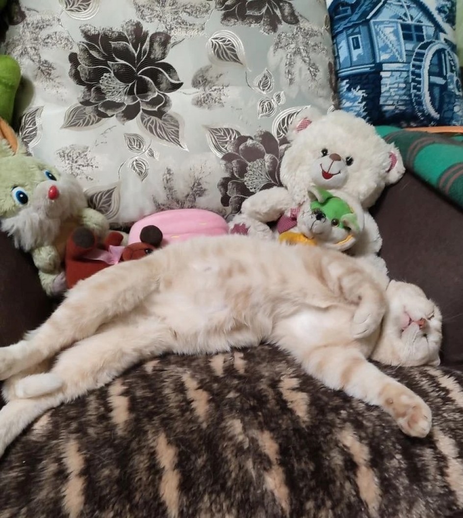 Обеденный сон