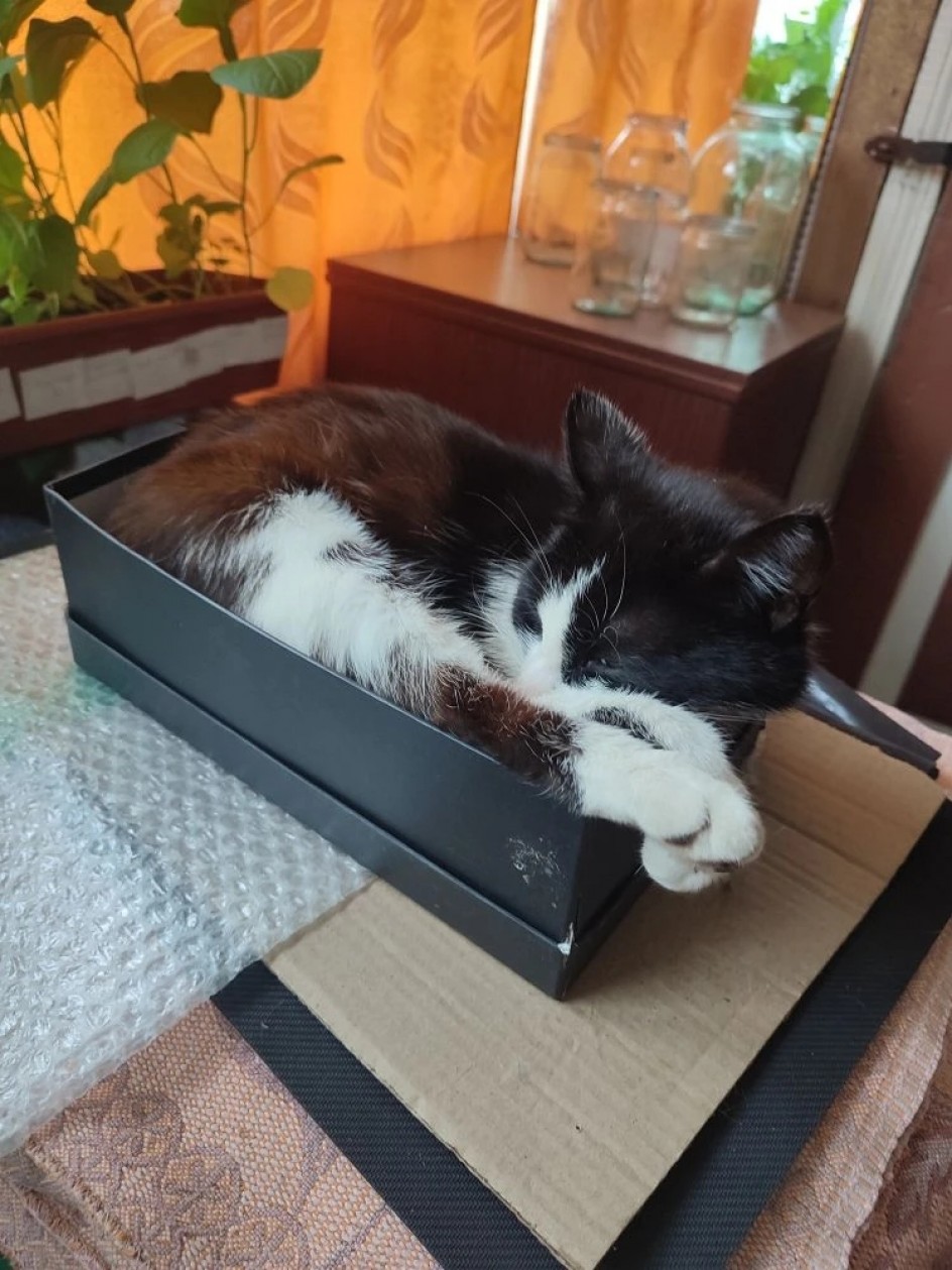 Лучший мой подарочек...