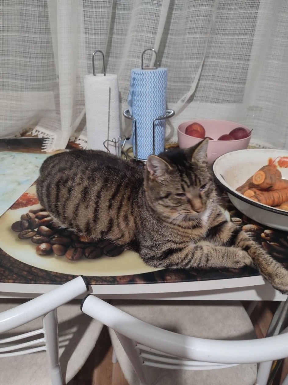 Когда ты Царь