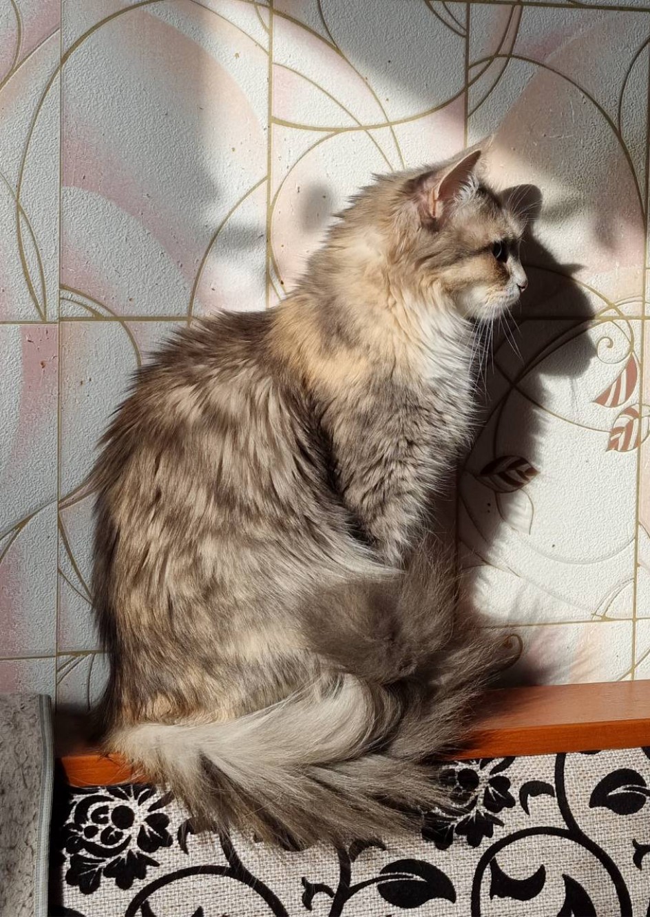 Милый сердцу профиль