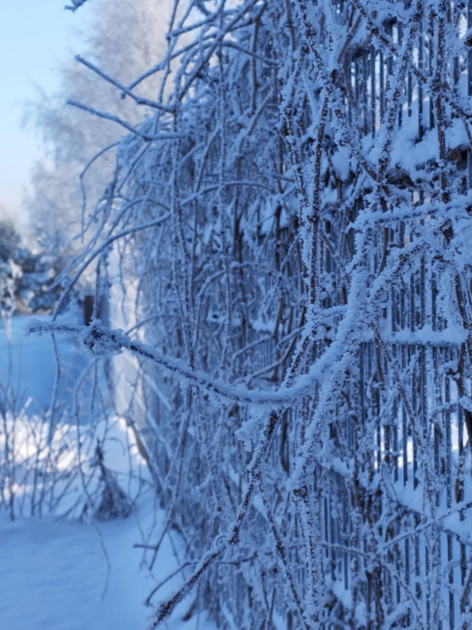 Вологодские кружева