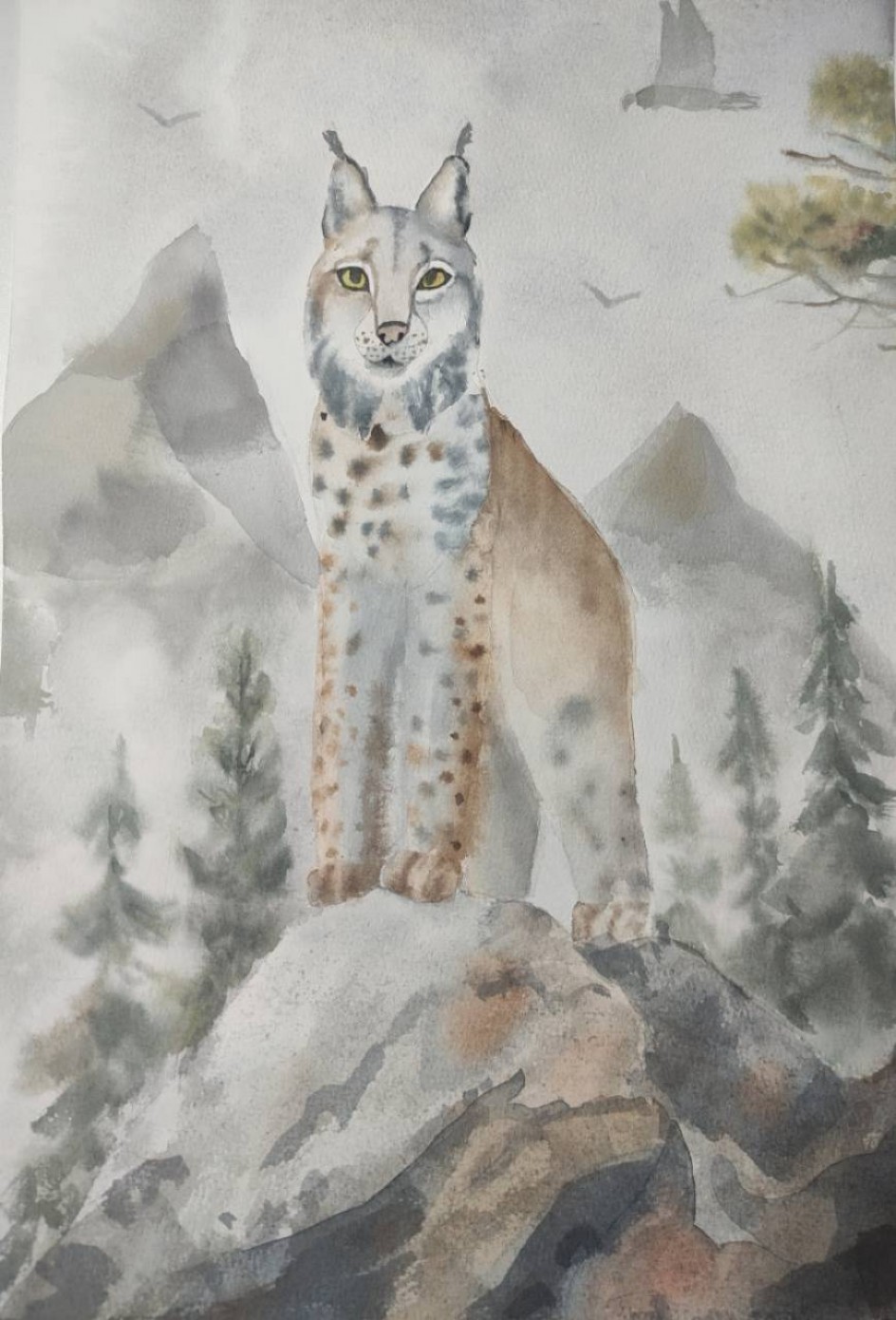 Рысь в тумане леса