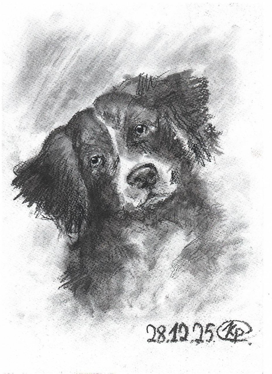 "Верный друг"