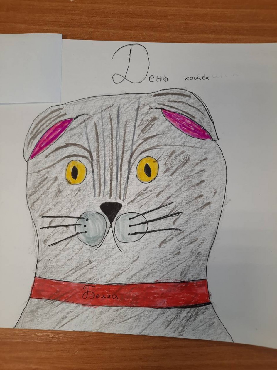 Грустный котик