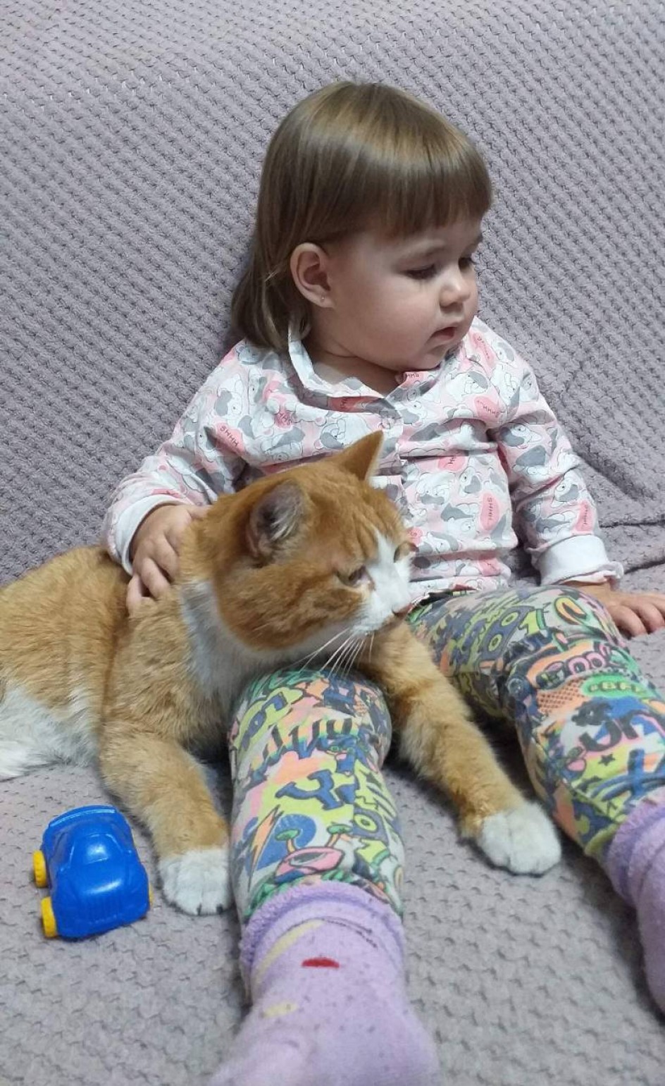 Мой компаньон.