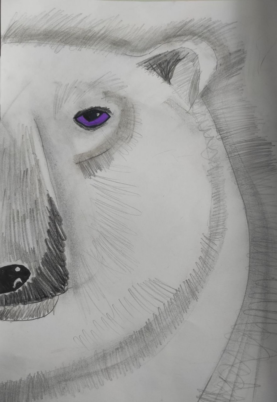 Хозяин арктических просторов