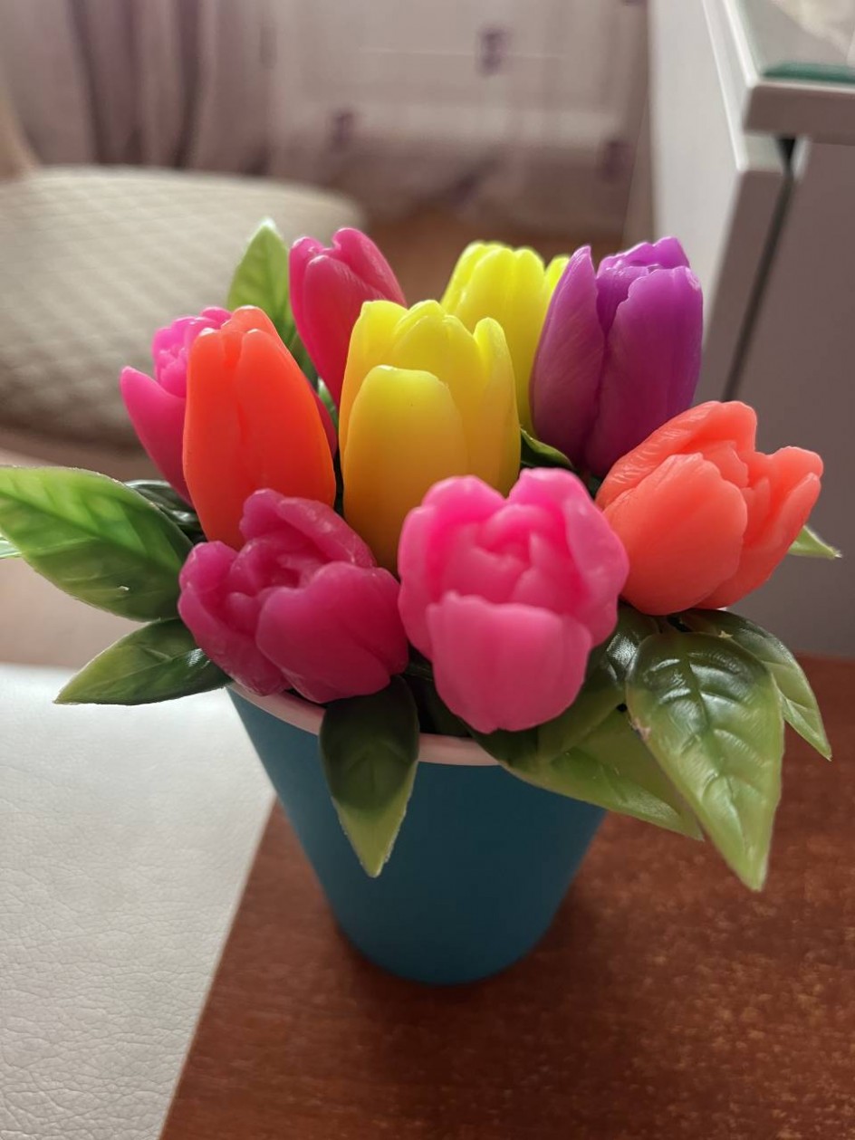 «Весенняя симфония тюльпанов»