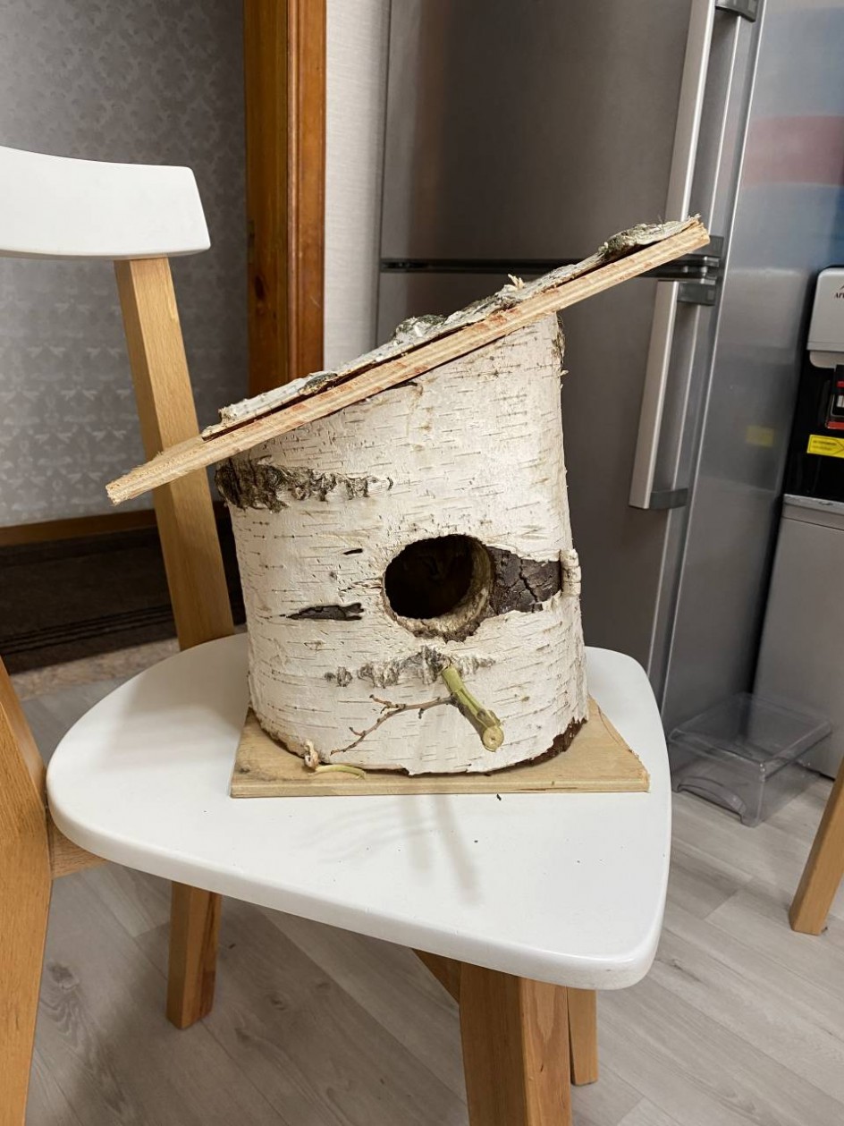 Скворечник для зимующих птиц