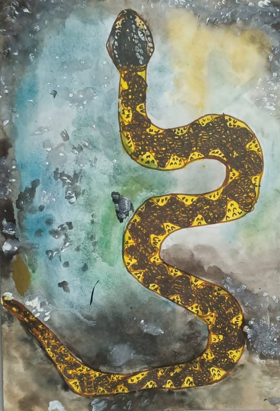 Кавказская гадюка