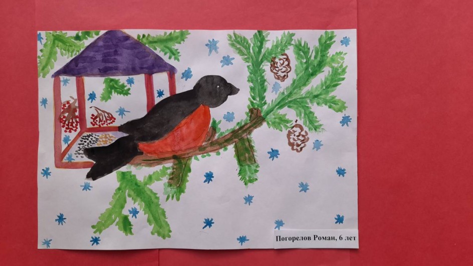 Снегирь на сосновой ветке