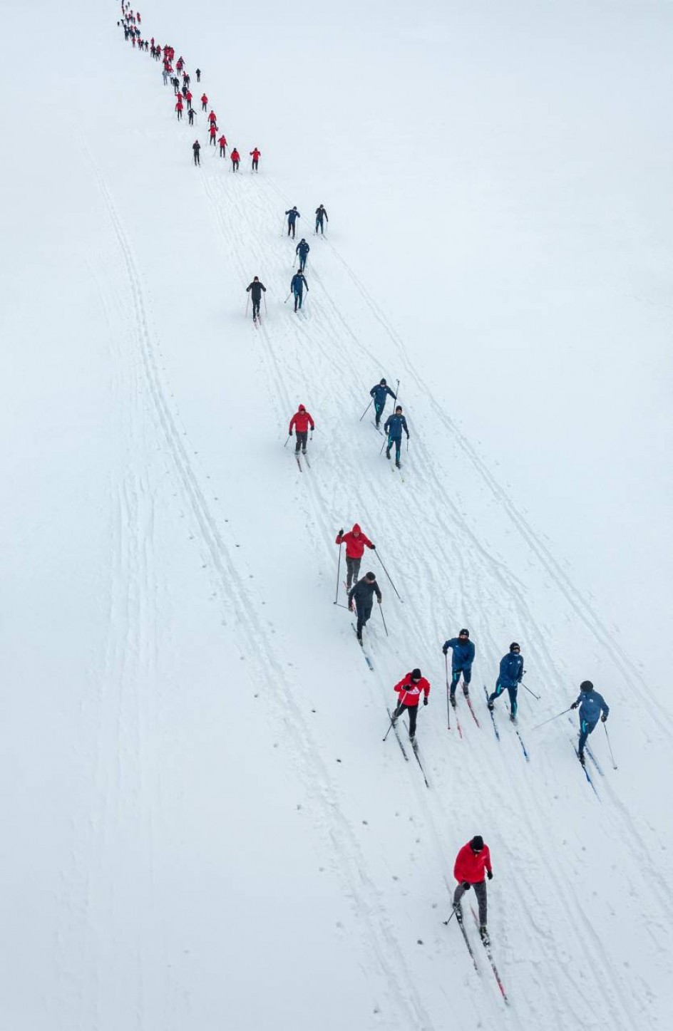 Все на лыжи!