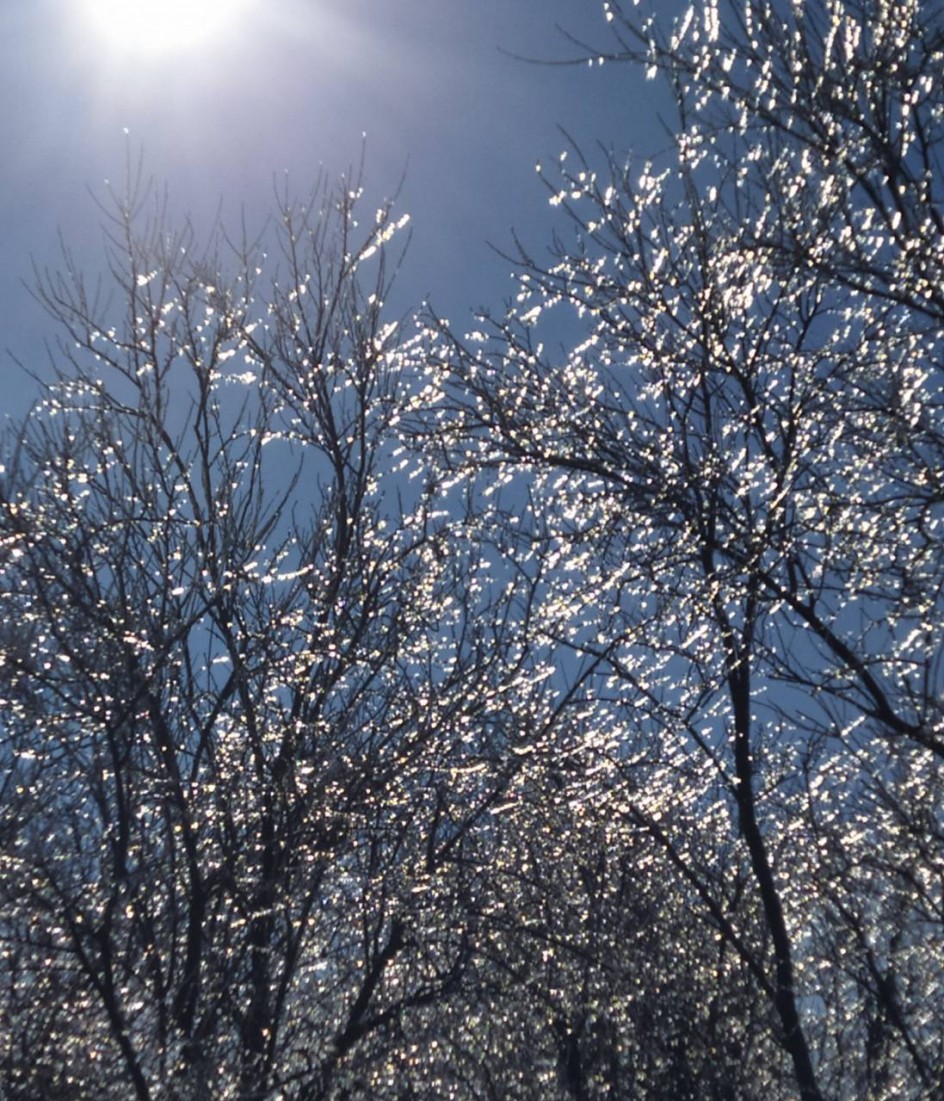 Весенняя сказка