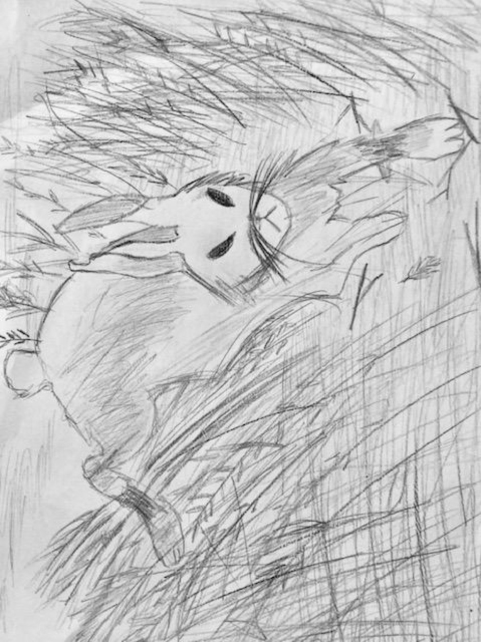 "Заяц в поле"