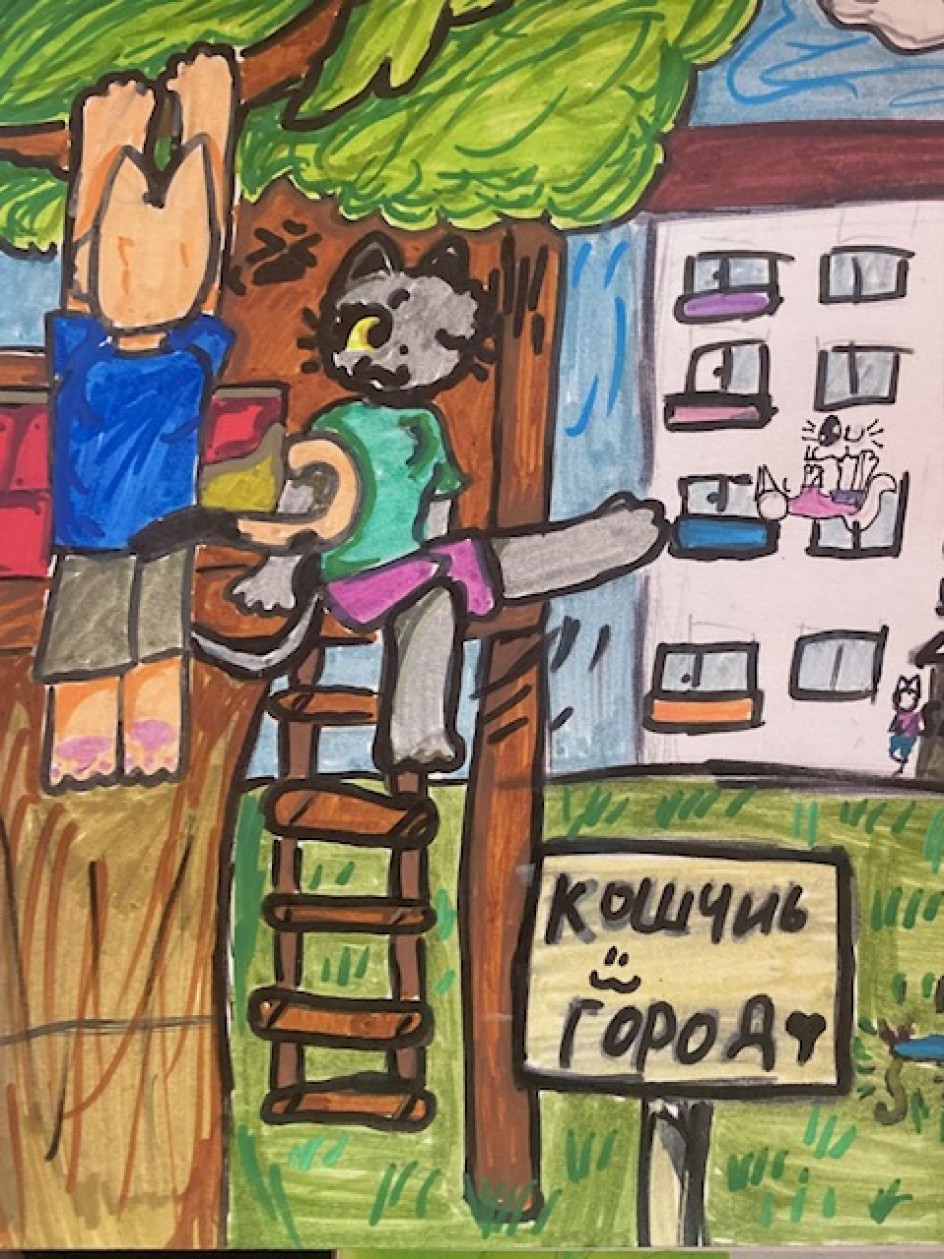 "Кошачий город"