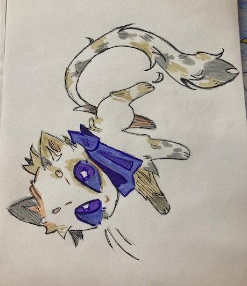 "Любимый котик"