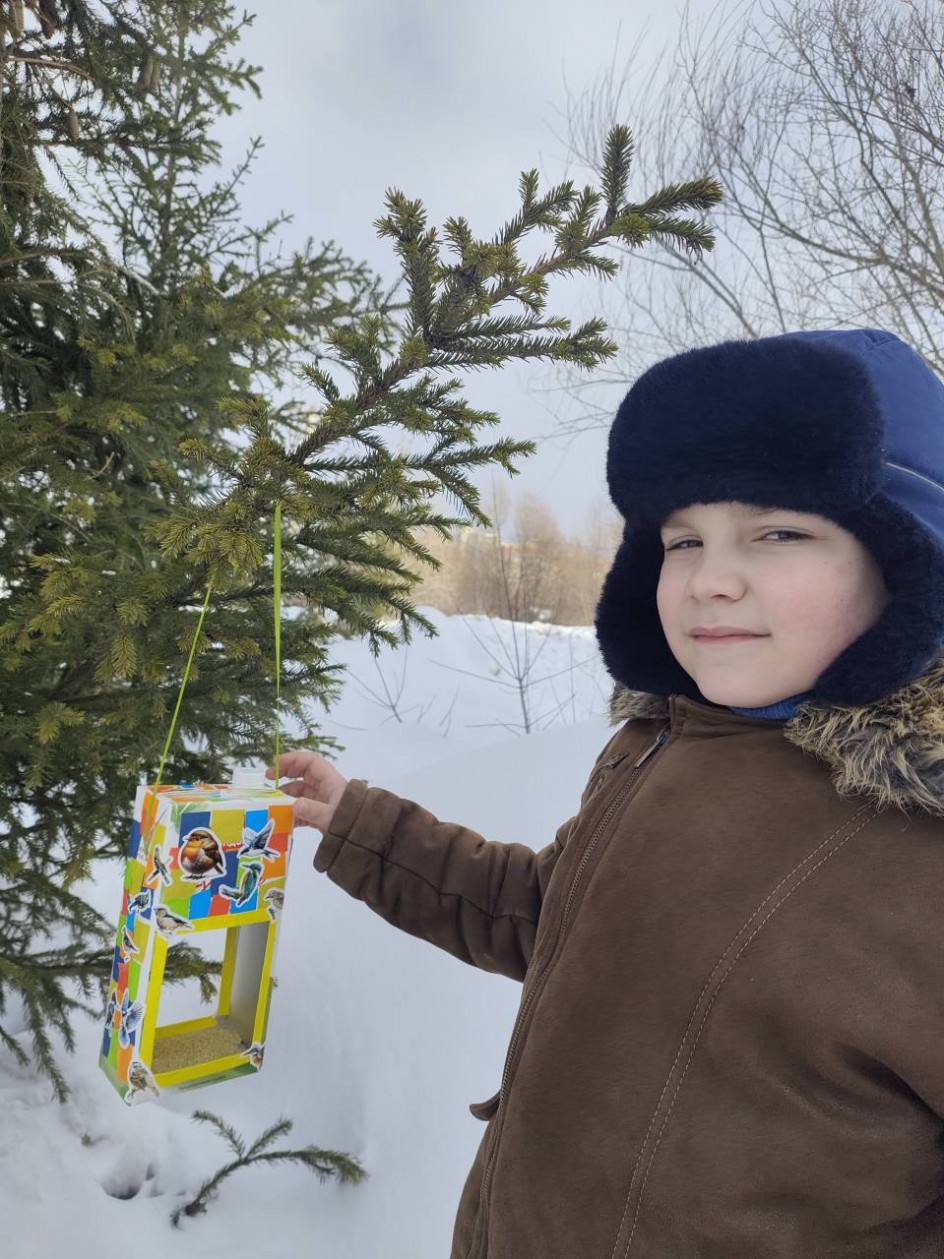 Птичье кафе "Радость моя".