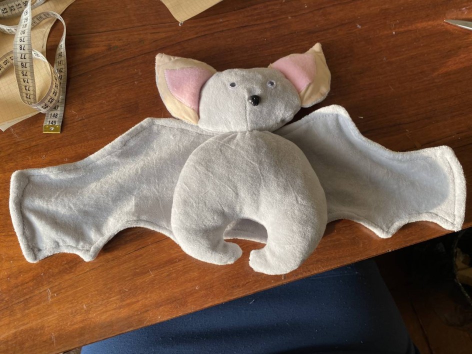 Мышь летучая