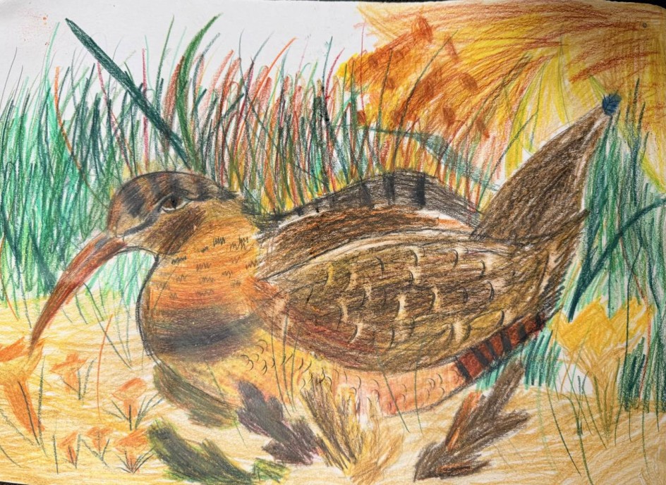 Осенняя красота природы