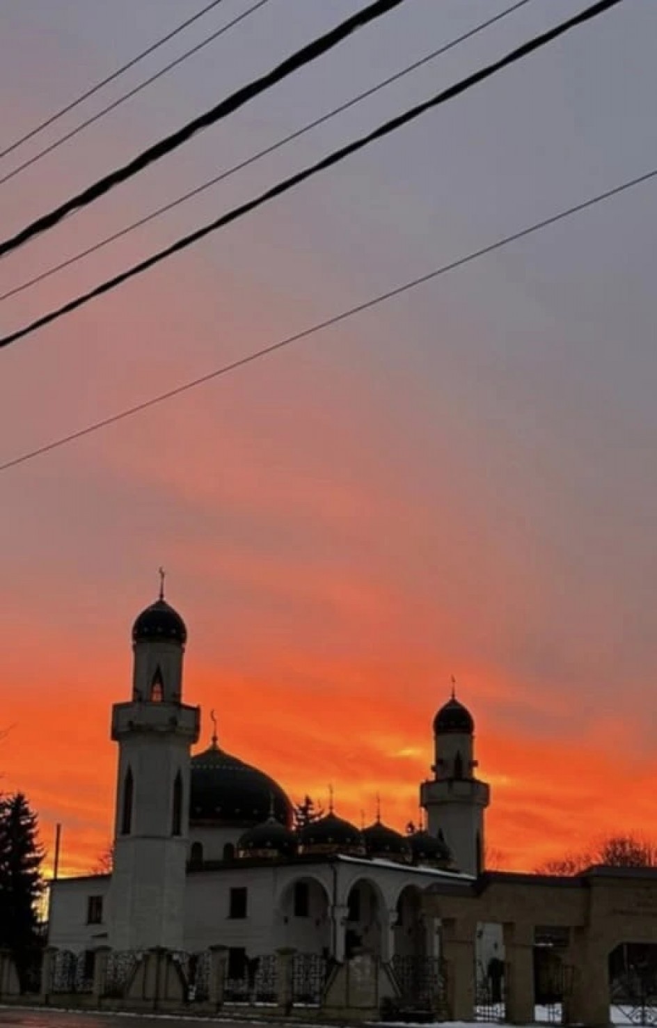 Гармония вечера