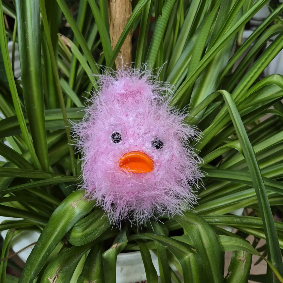 Птица арчовая чечевица