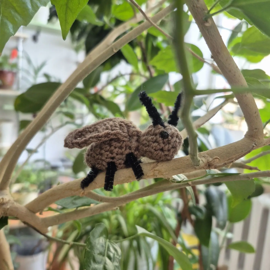 Букашка-таракашка