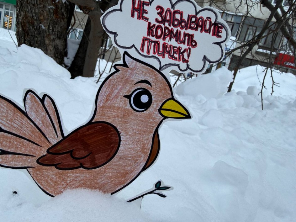 Покормите птиц зимой!