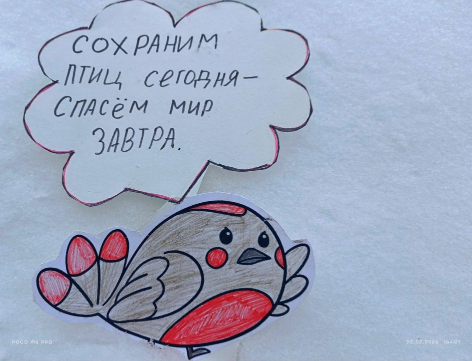 Покормите птиц зимой!