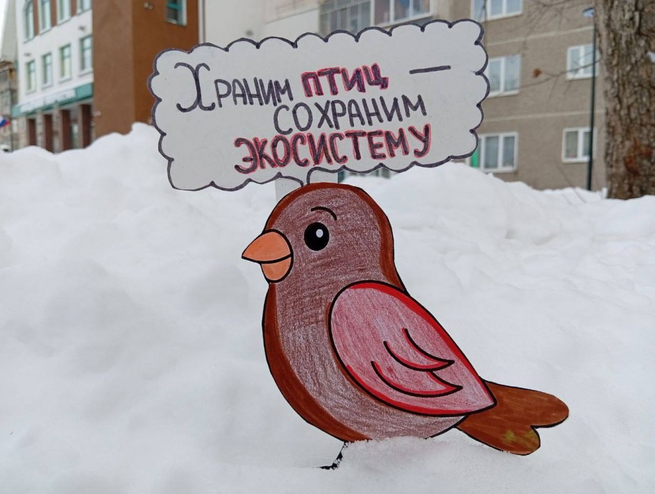 Покормите птиц зимой!