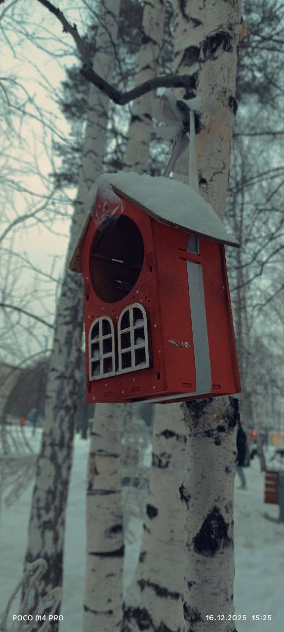 Зимние кормушки