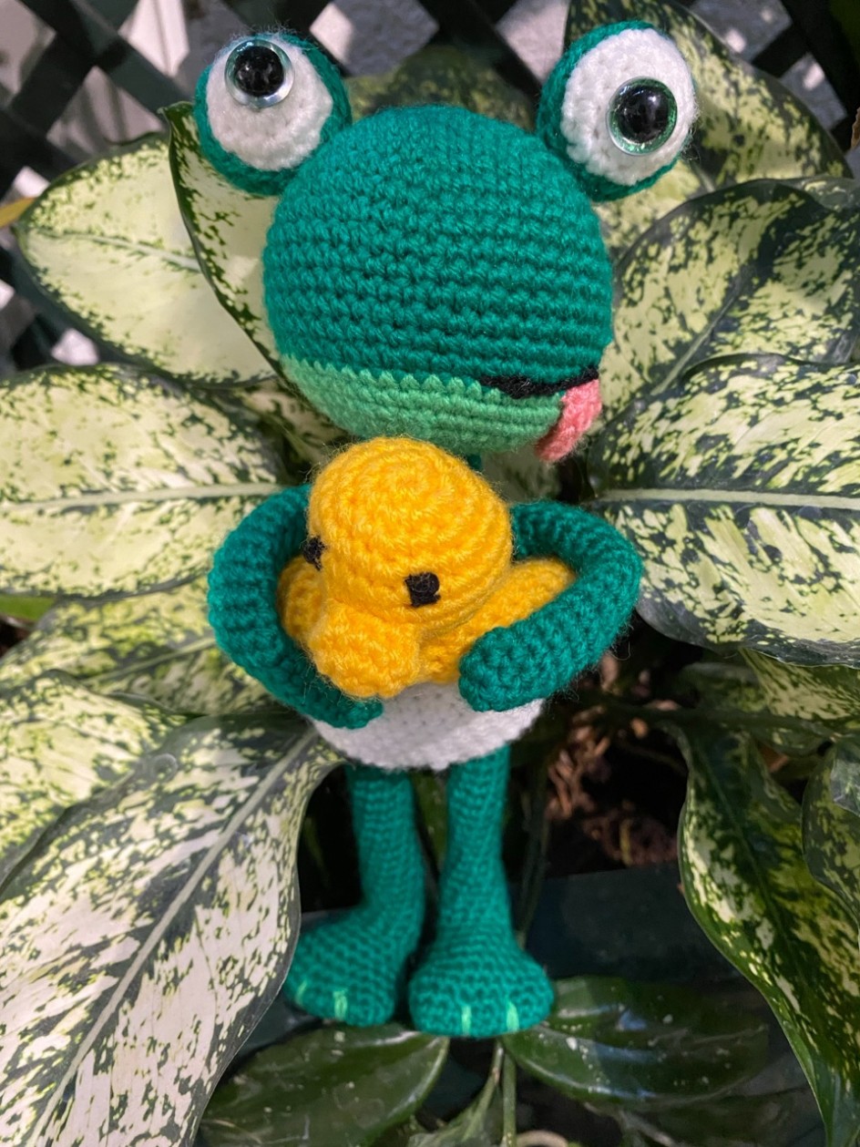 Лягушка-путешественница